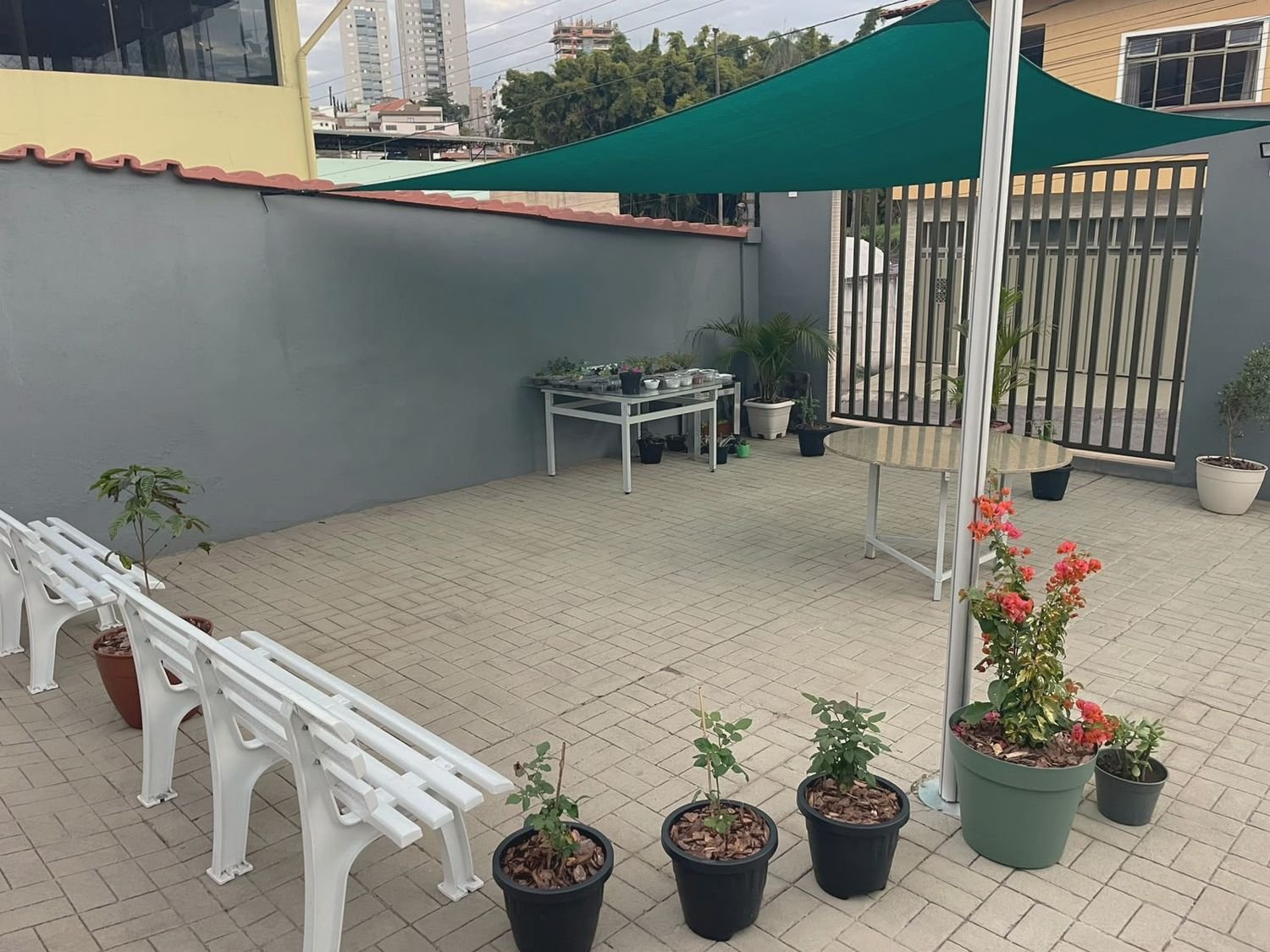 Área externa com cobertura e plantas